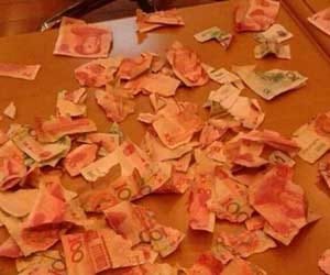 boy tears their life savings