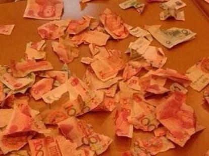 boy tears their life savings