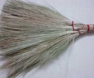 jhadu in rajasthan from 10th january