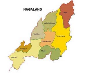 nine decomposed bodies found in Nagaland