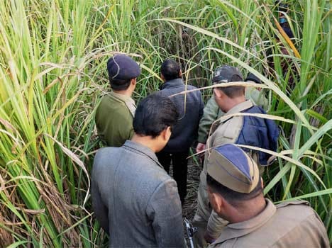 man eater tigress killed women in kalagarh