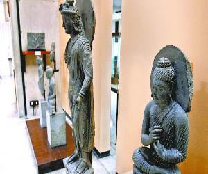 627 types of buddah in museaum art & gallery