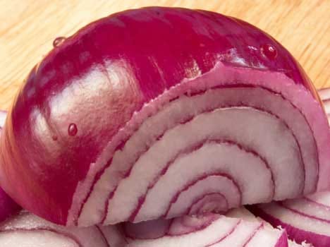 students seek loan for onion in Agra