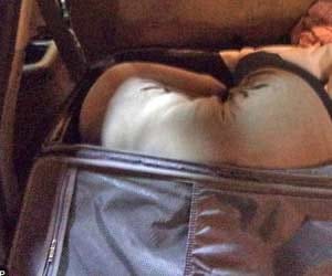 woman in suitcase