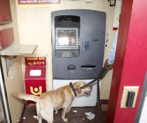 Aressting of sector-9 atm robber