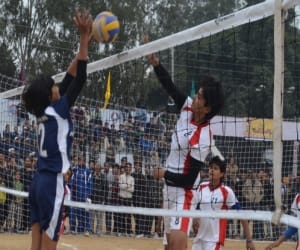 Ludhiana in martial art won eight gold 