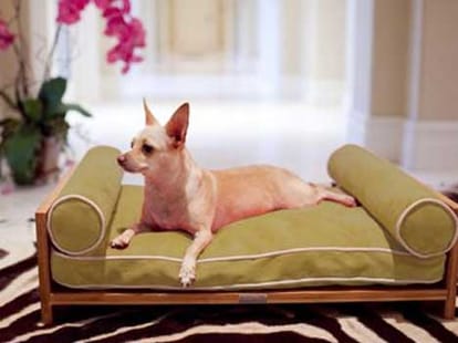 beds designs for pets