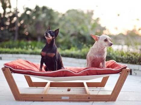 beds designs for pets