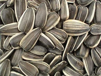 diet to get rid of dandruff
