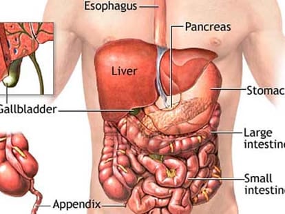 5 weird facts of deadbody