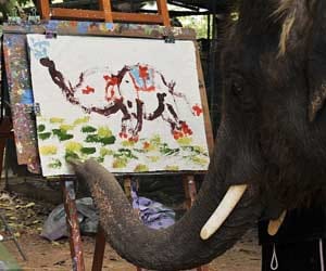 Elephant paints amazing self-portraits