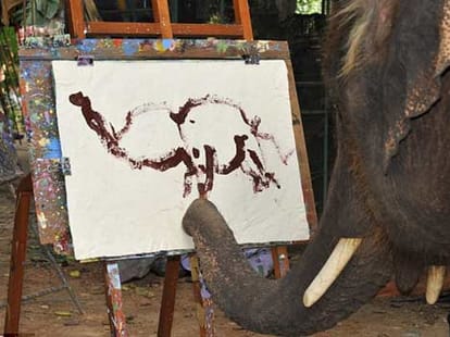 Elephant paints amazing self-portraits