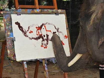 Elephant paints amazing self-portraits