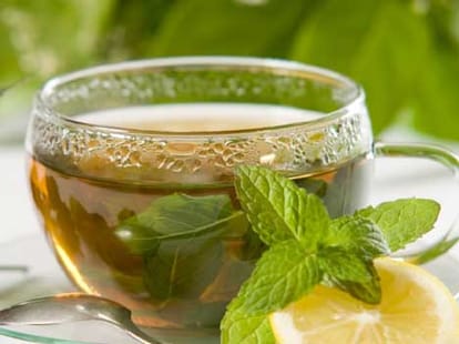 weight loss diet