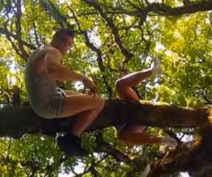 sex on tree