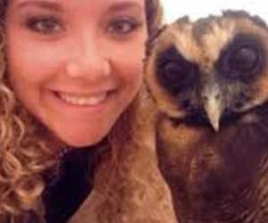Owl ‘forcing’ owner to watch films