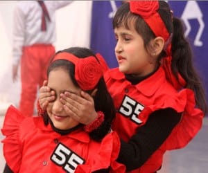 annual day of vidya niketan school