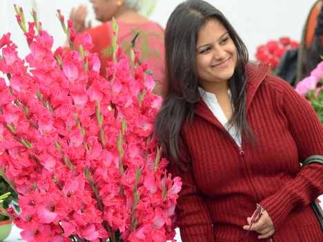 flower exhibition in dehradun raj bhavan