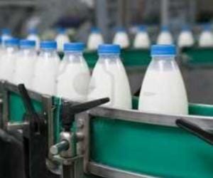 Survey again to send dairies out of city