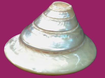 shankh for different purpose