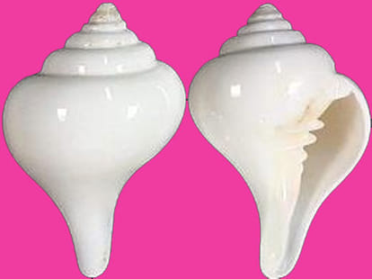 shankh for different purpose