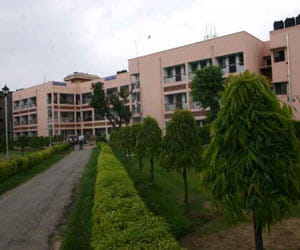 Jamia created a online admission tracking software