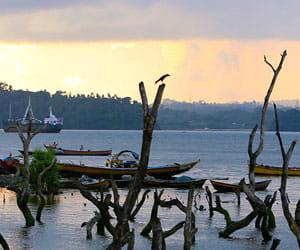 boat accident in andaman, 21 dead