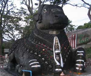 shiv nandi poojan 