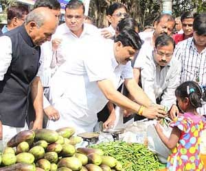 State Level Vegetable fest held in Gharonada