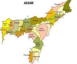 ten killed and eight injured in assam