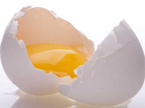 egg can prevent memory los