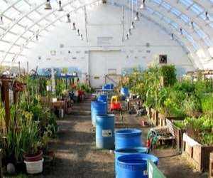 Horticulture Exhibition on 20 Feb