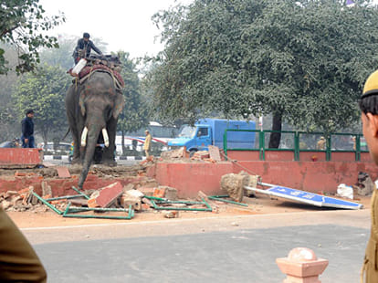 elephant anger in delhi