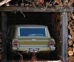couple had sex in car, dead