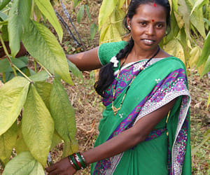 women farming ranchi