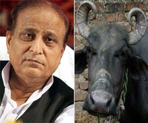 azam khan comments on his buffalo