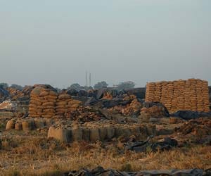 paddy waste chattisgarh