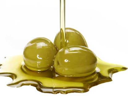 diet that reduce cholesterol