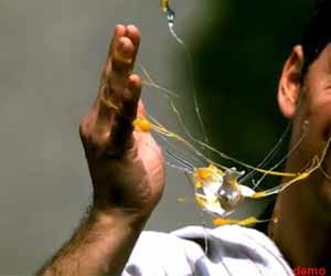 aap workers cracked egg on face 