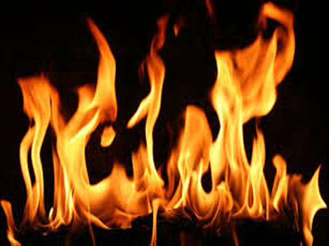 wife immolates herself when husband demanded divorce 