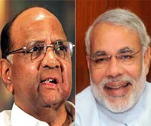 government should be given some time says sharad pawar