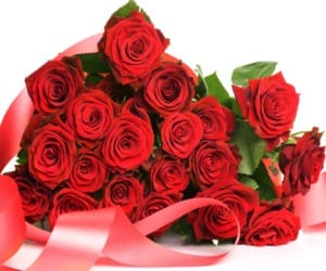 Rose Fest