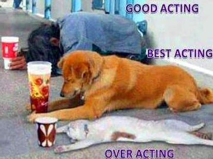 funny pics from facebook