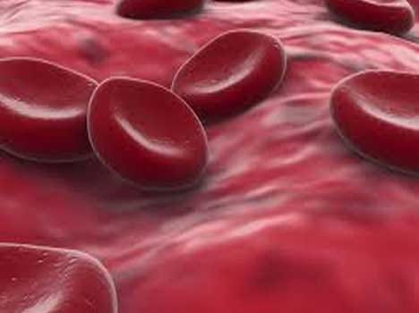 donate blood more than 50 times