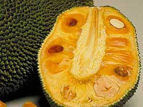 health benefits of jackfruit