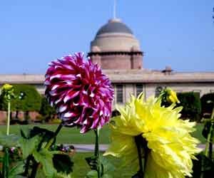 Mughal Garden opens for general public