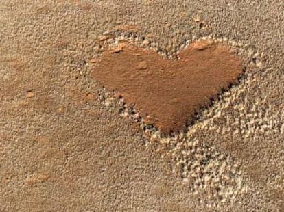 heart treatment is now low cost