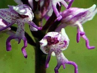 17 funny pictures from facebook