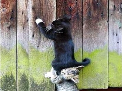 17 funny pictures from facebook