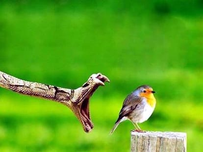 17 funny pictures from facebook